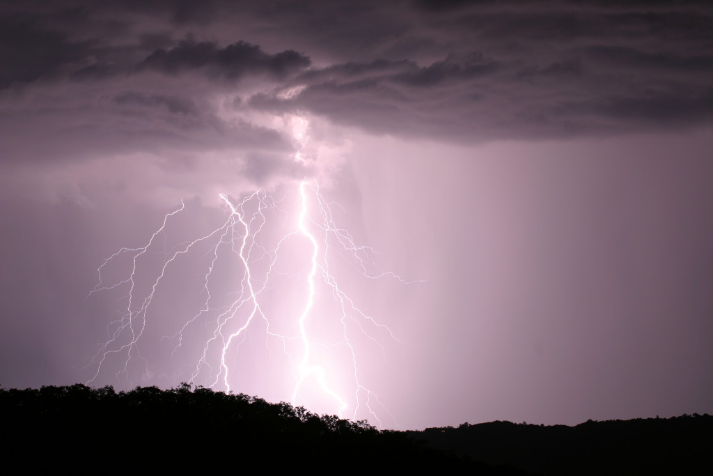 Photo  Jason Rainforest