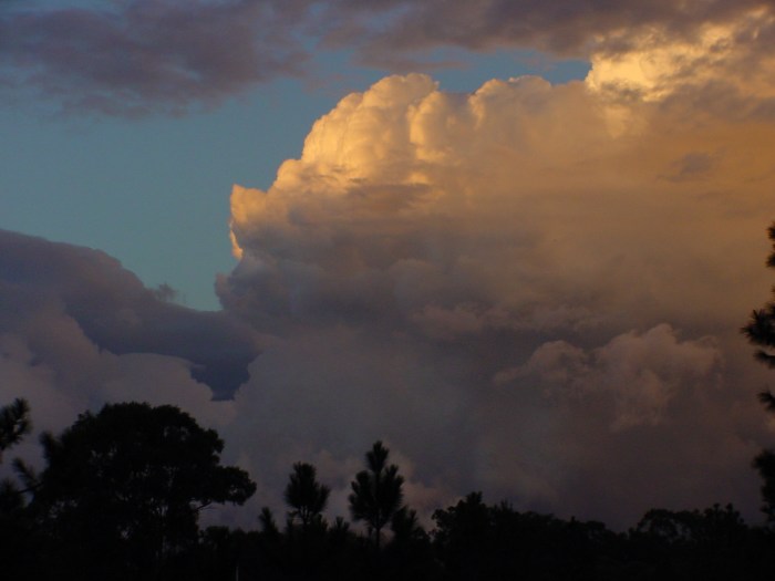 20/06/01 @ 16:57  -  Continuing development on northern end