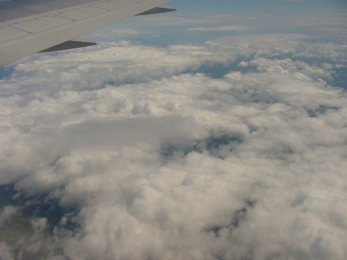 Taken by Jason Rainforest