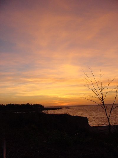 Taken by Jason Rainforest