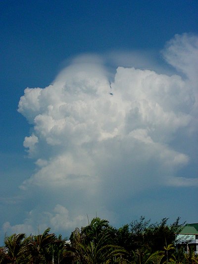 Taken by Jason Rainforest