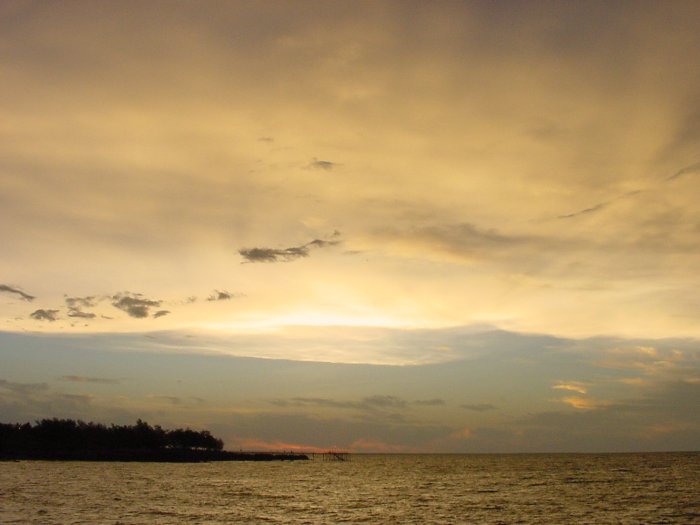 Taken by Jason Rainforest