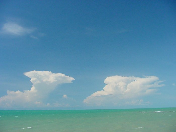 Taken by Jason Rainforest