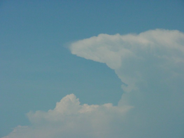 Taken by Jason Rainforest