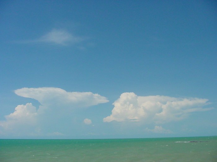 Taken by Jason Rainforest