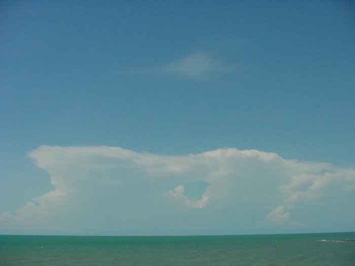 Taken by Jason Rainforest