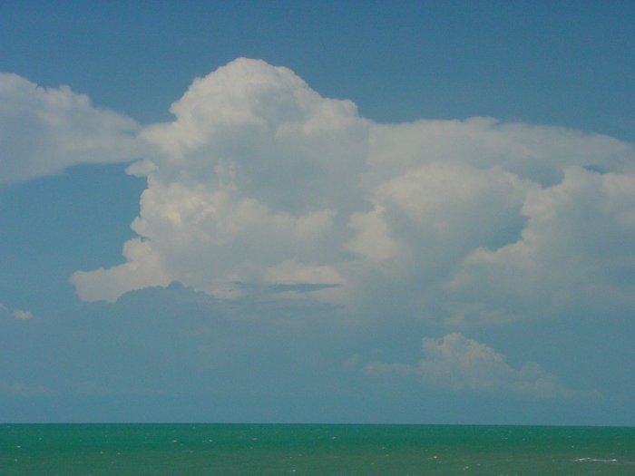 Taken by Jason Rainforest