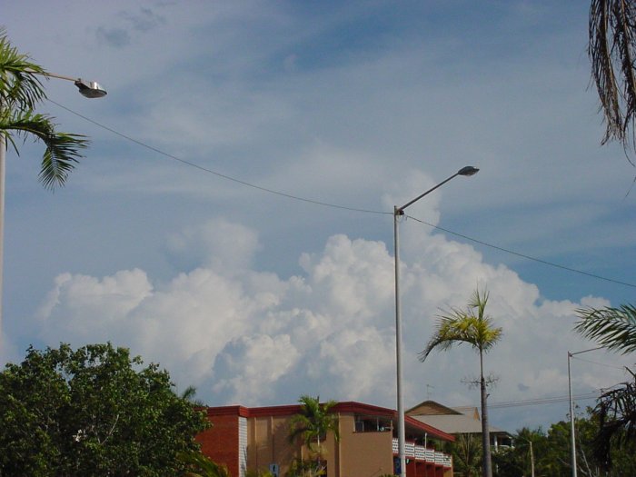 Taken by Jason Rainforest