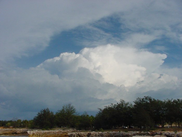 Taken by Jason Rainforest