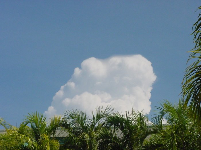 Taken by Jason Rainforest