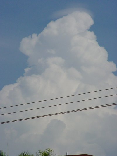 Taken by Jason Rainforest