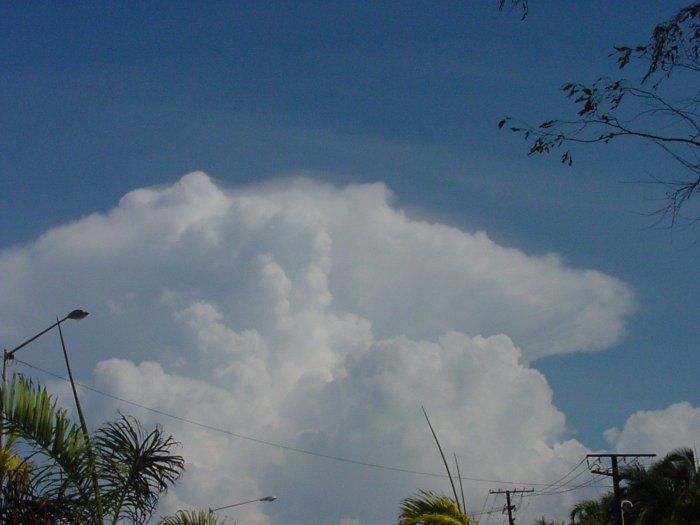 Taken by Jason Rainforest