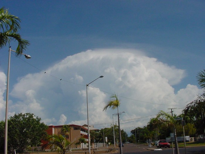 Taken by Jason Rainforest