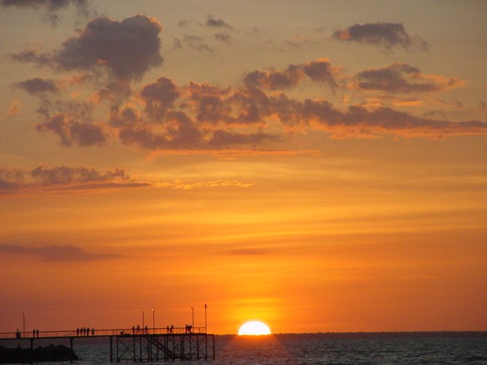 Taken by Jason Rainforest