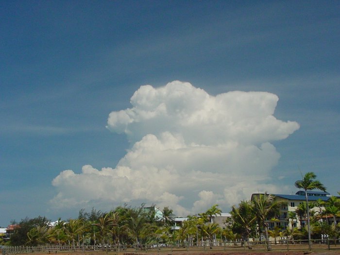 Taken by Jason Rainforest