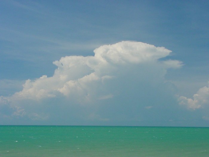 Taken by Jason Rainforest