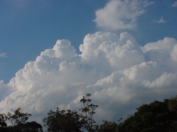 Taken by Jason Rainforest