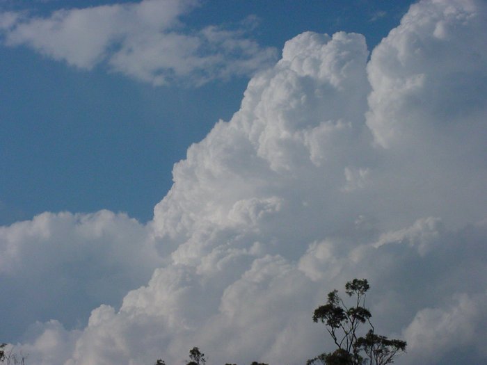 Taken by Jason Rainforest