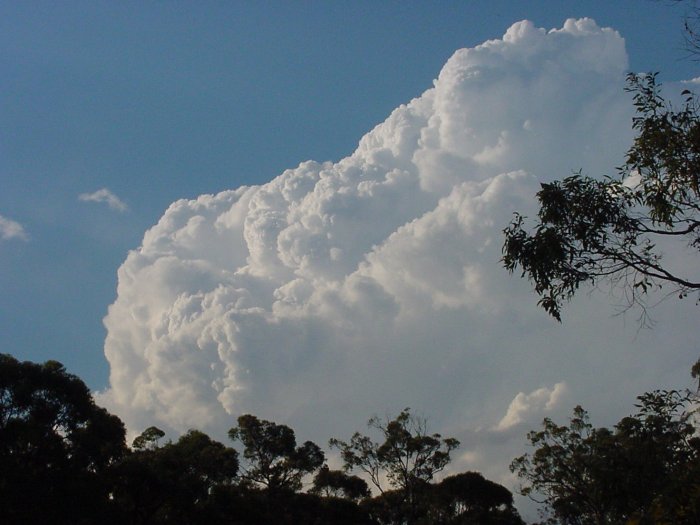 Taken by Jason Rainforest