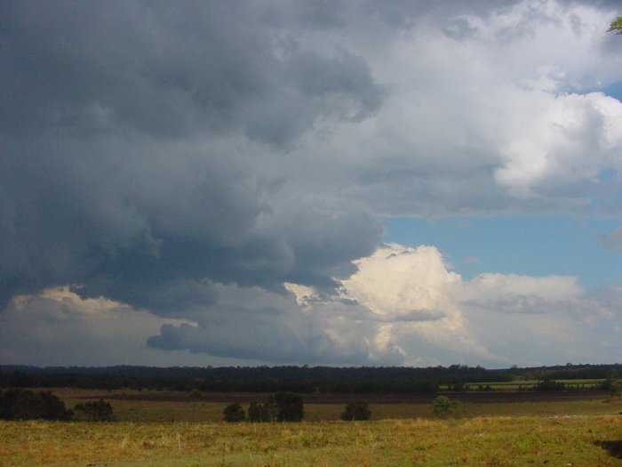 Taken by Jason Rainforest