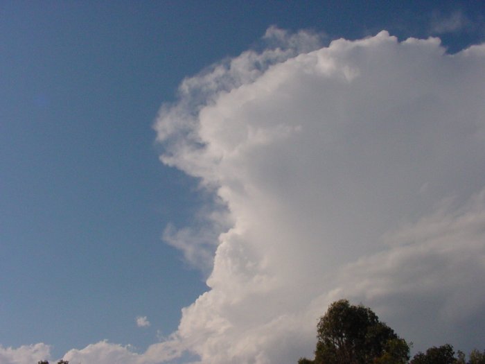 Taken by Jason Rainforest