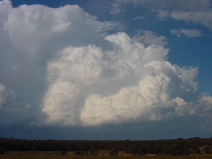 Taken by Jason Rainforest