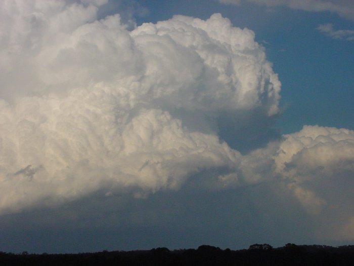 Taken by Jason Rainforest