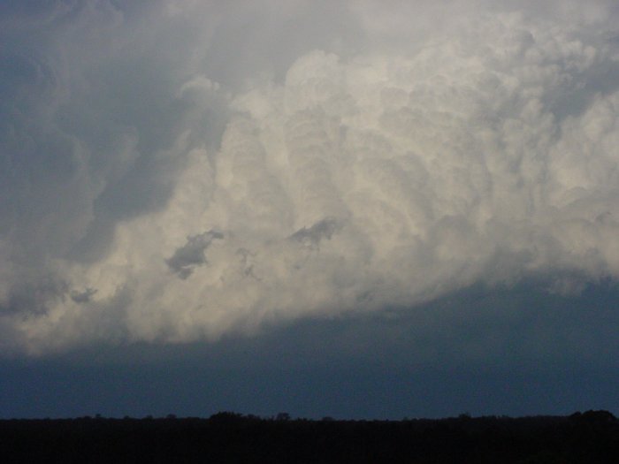 Taken by Jason Rainforest