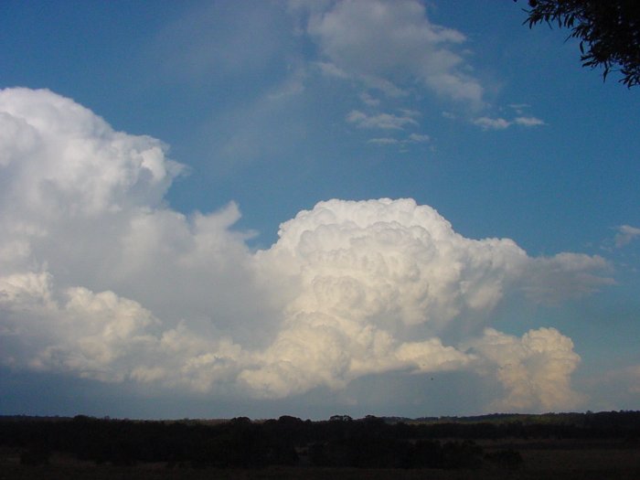 Taken by Jason Rainforest