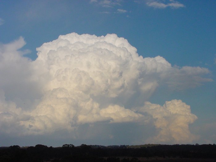 Taken by Jason Rainforest