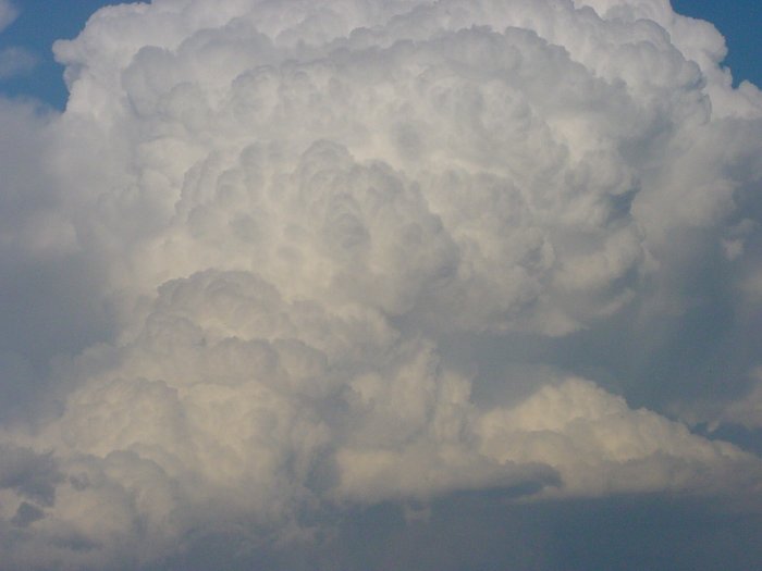 Taken by Jason Rainforest