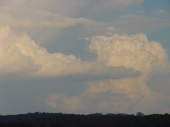 Taken by Jason Rainforest