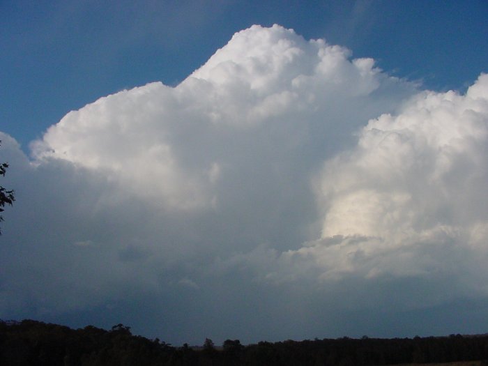 Taken by Jason Rainforest