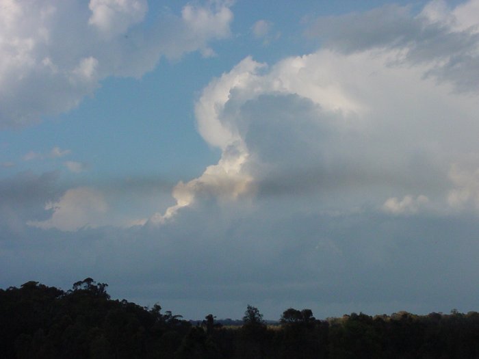 Taken by Jason Rainforest