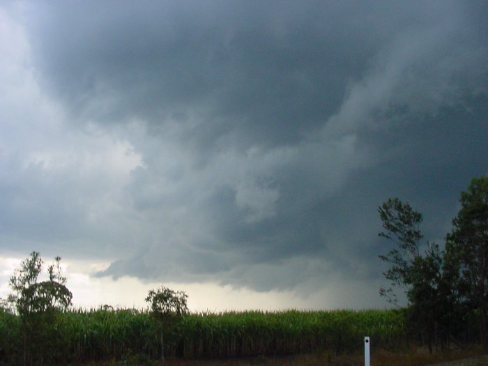 Taken by Jason Rainforest