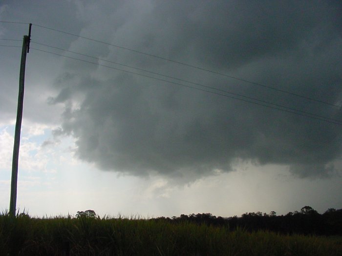 Taken by Jason Rainforest