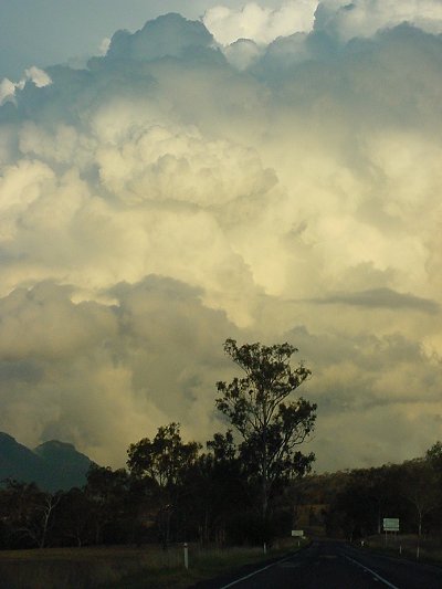 Photo  Jason Rainforest