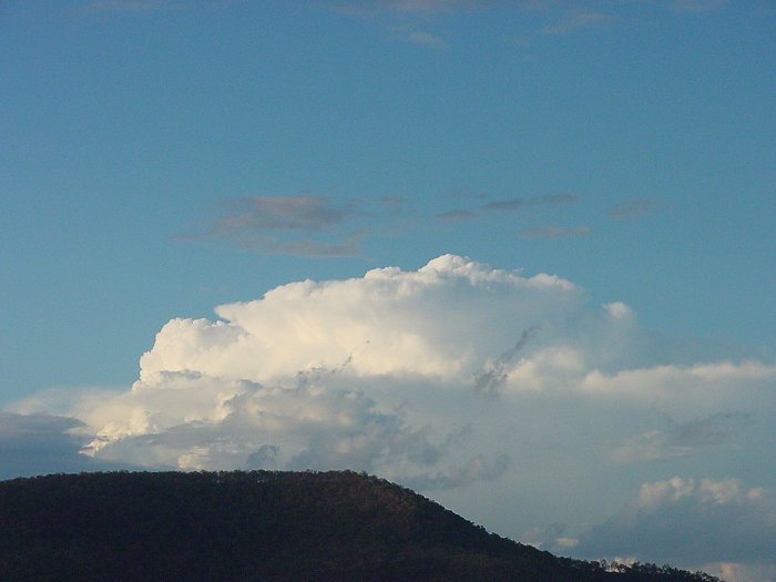 Taken by Jason Rainforest