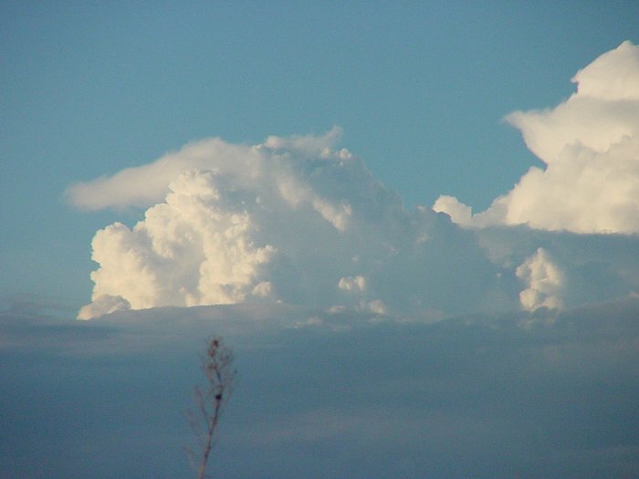 Photo  Jason Rainforest