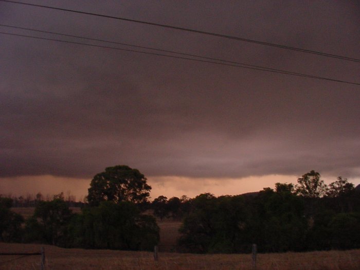 Taken by Jason Rainforest