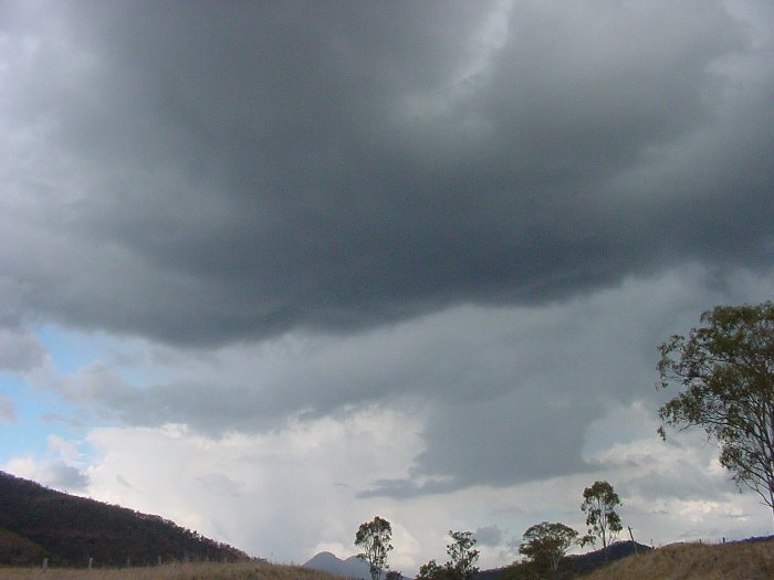 Taken by Jason Rainforest