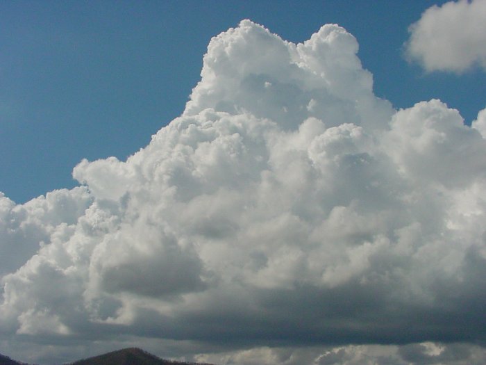 Taken by Jason Rainforest