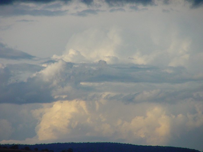 Taken by Jason Rainforest