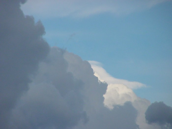 Taken by Jason Rainforest