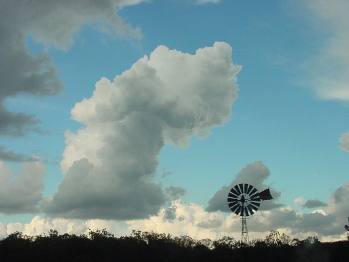 Taken by Jason Rainforest