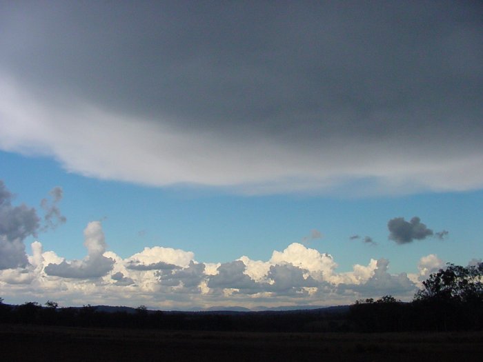 Taken by Jason Rainforest