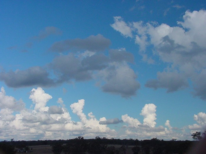 Taken by Jason Rainforest