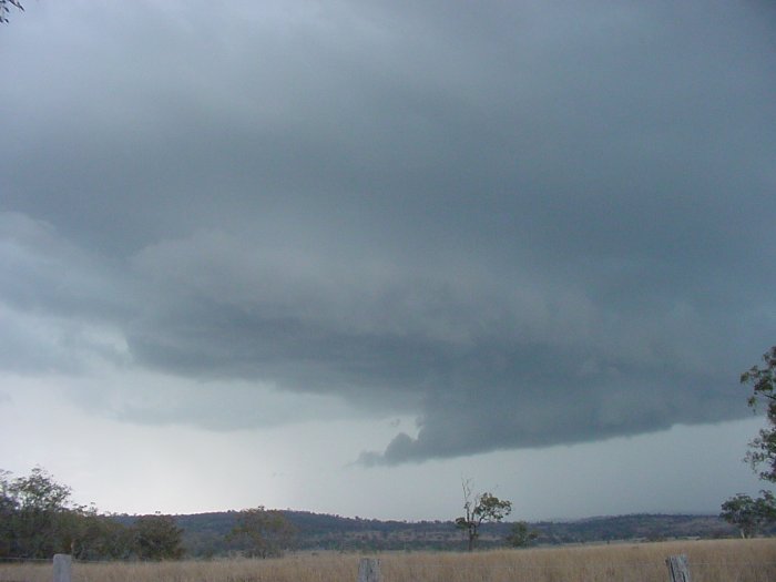 Taken by Jason Rainforest