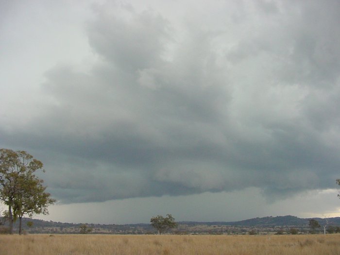 Taken by Jason Rainforest