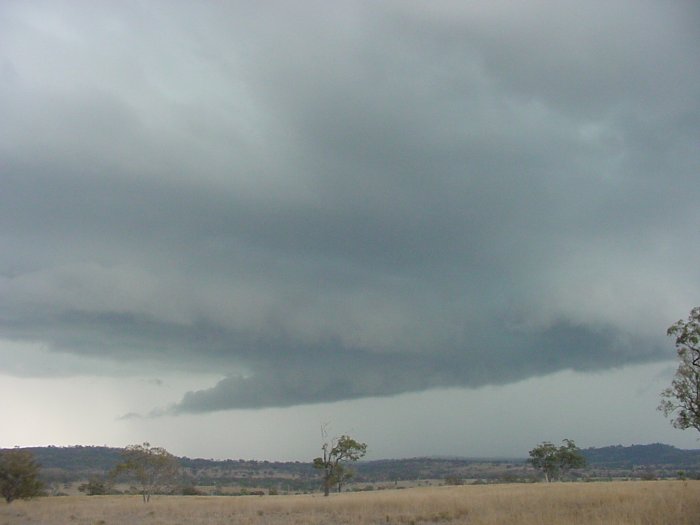 Taken by Jason Rainforest